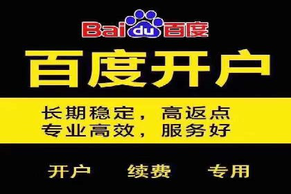 百度推广实战：案例分享与优化建议